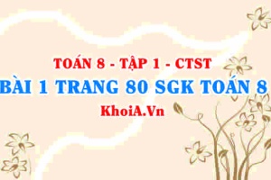 Bài 1 trang 80 SGK Toán 8 Tập 1 Chân trời sáng tạo